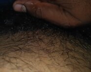 Harshitakahar