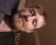 Bowjballard