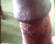 Wetleg