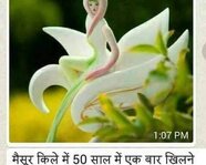 rdev29591@gmail.com