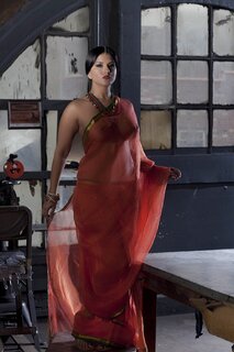 Diva in a transparent red sari fails to hide her big melons with ...