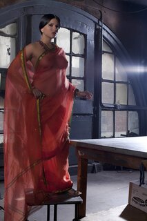 Diva in a transparent red sari fails to hide her big melons with ...