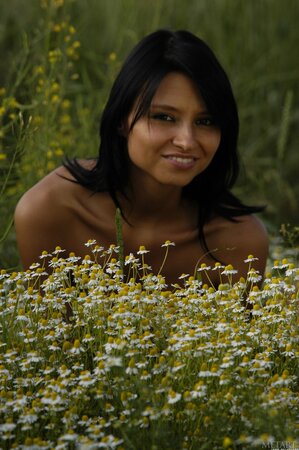 European brunette girl models in the nude with flowers in camomile field