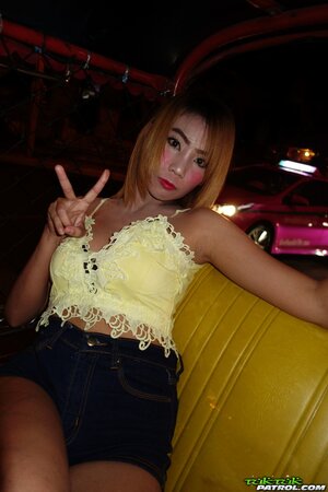 Seductive Thai teen does everything client wants and even poses in the nude