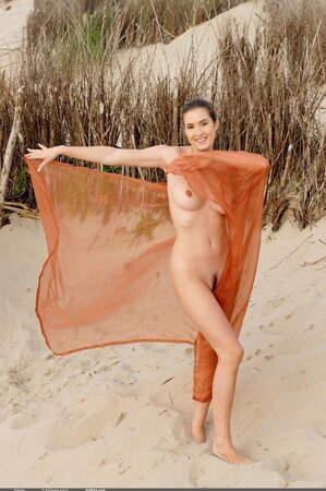 Playful brunette with sexy bush poses on the beach with only piece of cloth