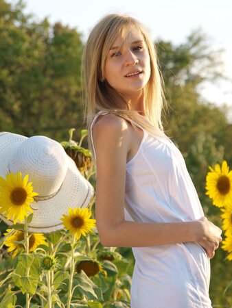 Attractive beauty not shy to undress while relaxing in the field of sunflowers