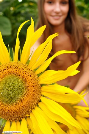 Amateur girl with long legs is posing with the sunflowers