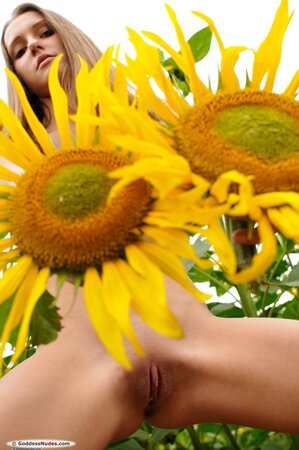 Amateur girl with long legs is posing with the sunflowers